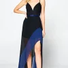 Chiffon Gown – LARGE