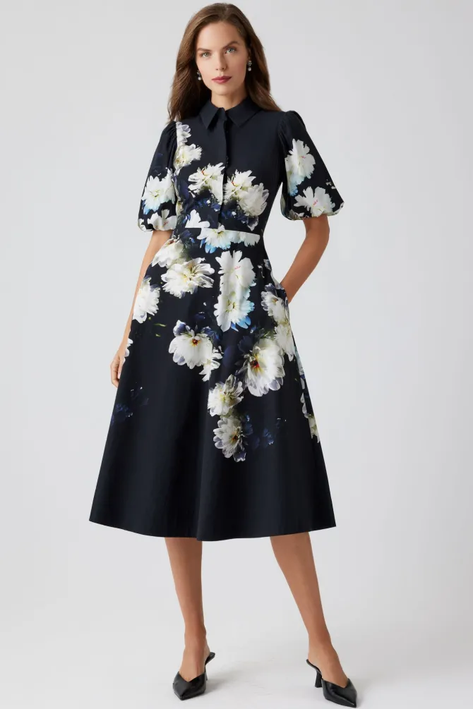 Darci Shirt Waist Dress