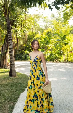 Fran Dress