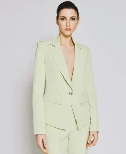 Gemi Blazer in aloe