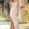 Geneva Gown