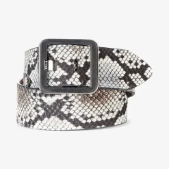 Makani Belt in phyton