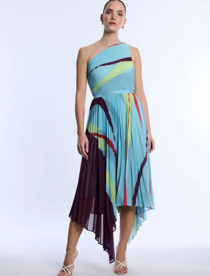 Shaina Printed Pleated Dress