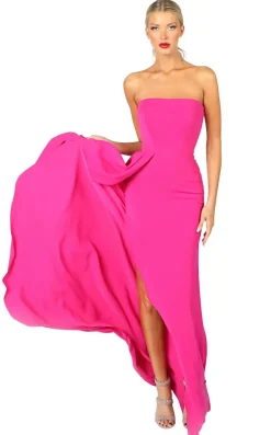 Strapless Fushia Gown